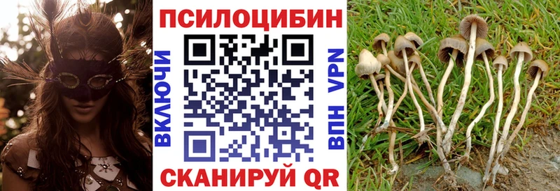 Купить закладки  Отрадная  Галлюциногенные грибы Psilocybe 
